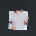 Overhead view of the Party Cove Dock Deluxe floating on water, featuring a light woodgrain surface and blue border.