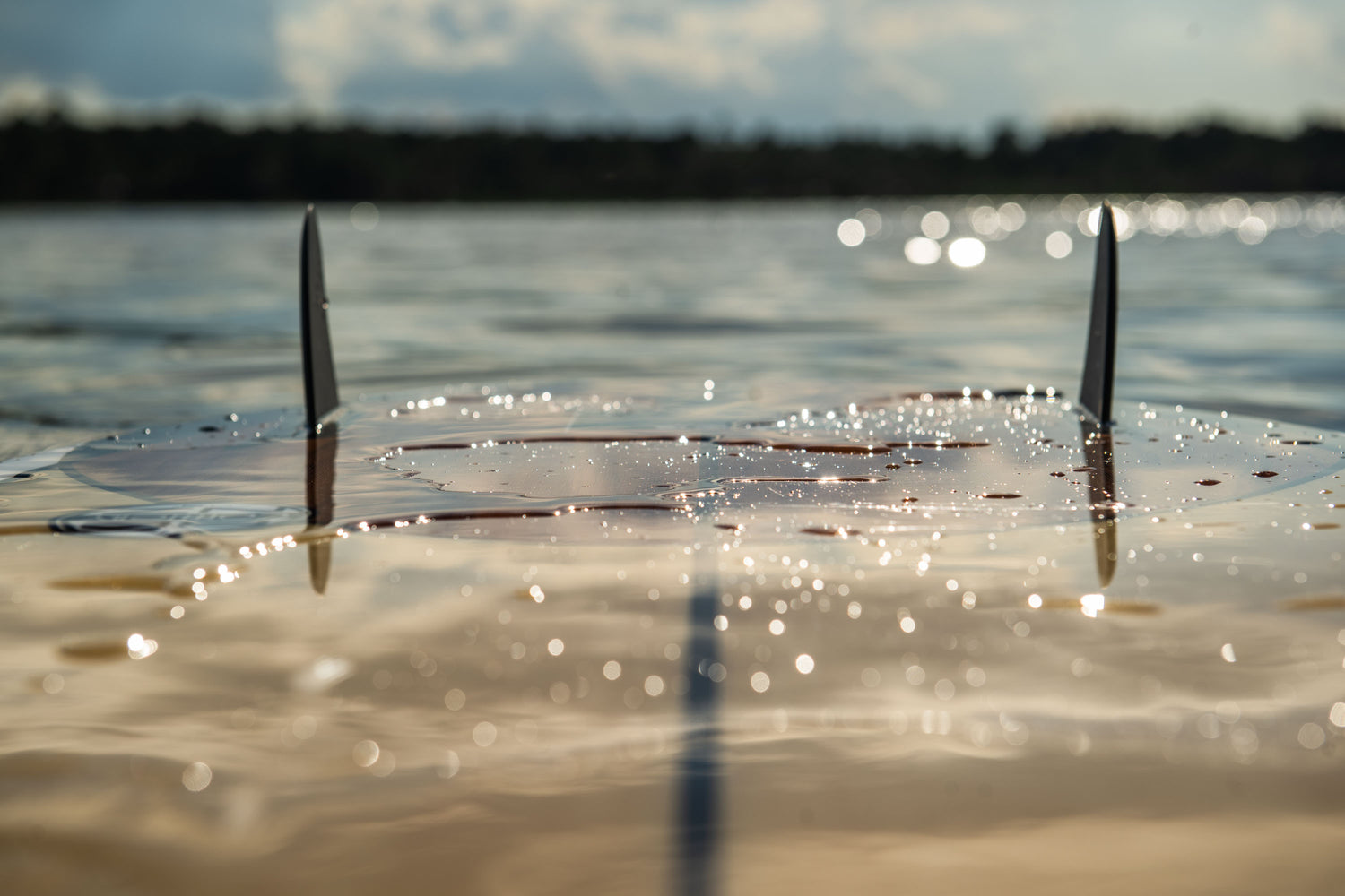 Low-angle view of the Benz wakesurf board’s twin fins, partially submerged in water with sunlight reflections.