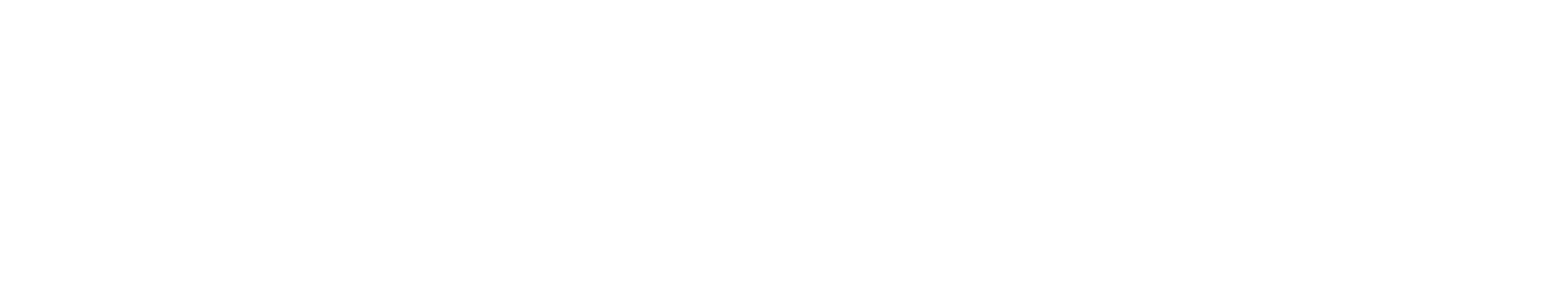 Connelly Skis logo in clean white lettering with a circular wave design in the "O".