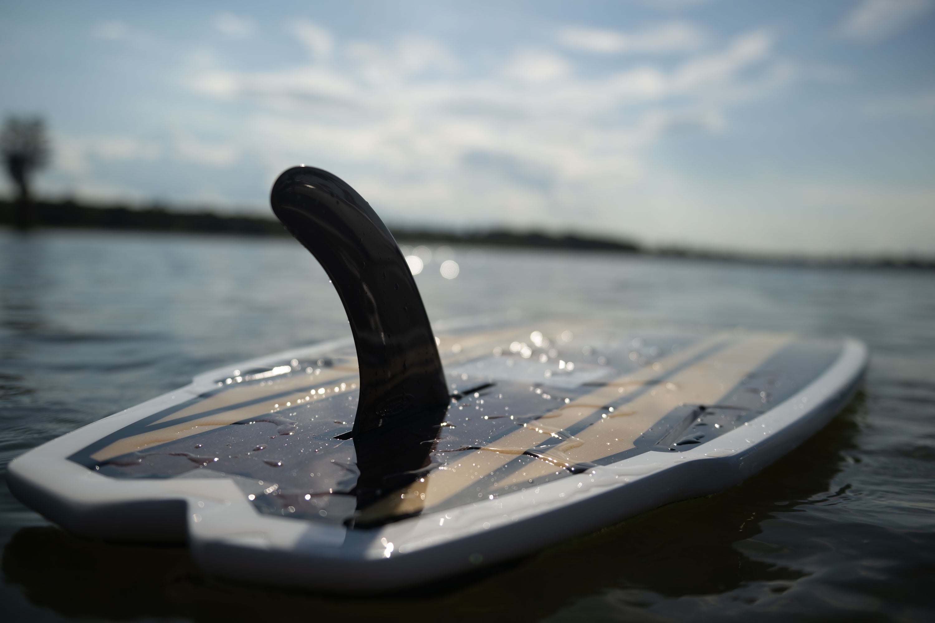 Connelly Lil Easy Wakesurfer - Mini Longboard for Lighter Riders