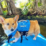 A corgi wearing the Dog Neoprene Vest in blue camo, standing on a paddleboard in a tropical water setting.